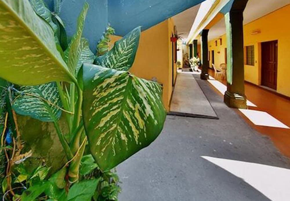 Hotel Mexico Mazatlán